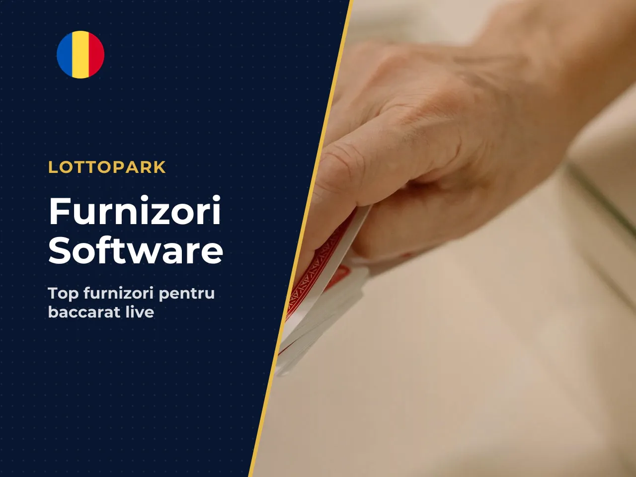 Furnizorii de software și variantele lor