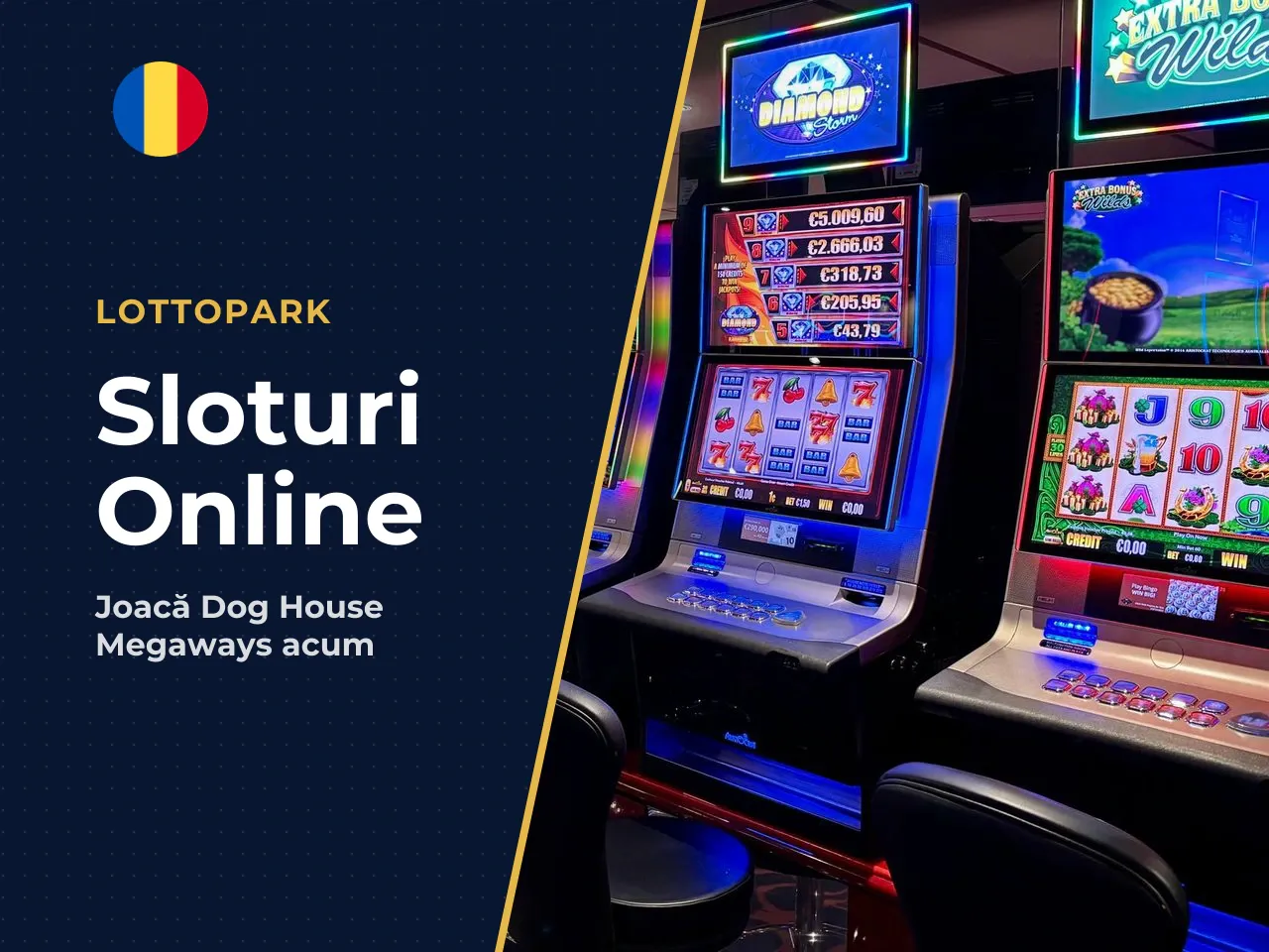 The Dog House Megaways joc formatul