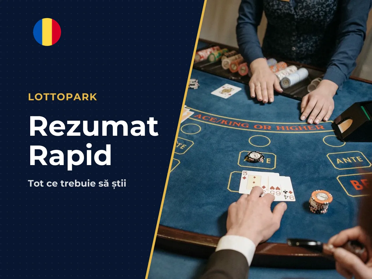 Rezumat rapid pentru cititorii grăbiți