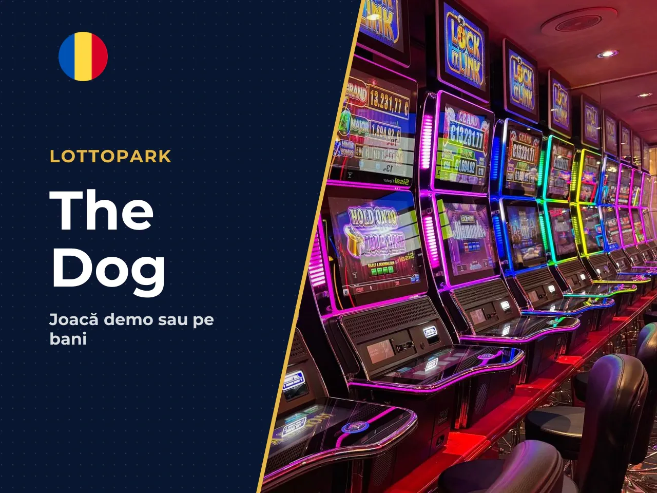 Ce este The Dog House Megaways