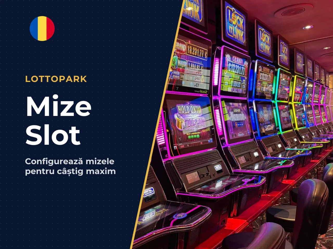 Mize, linii de plată și tabelul