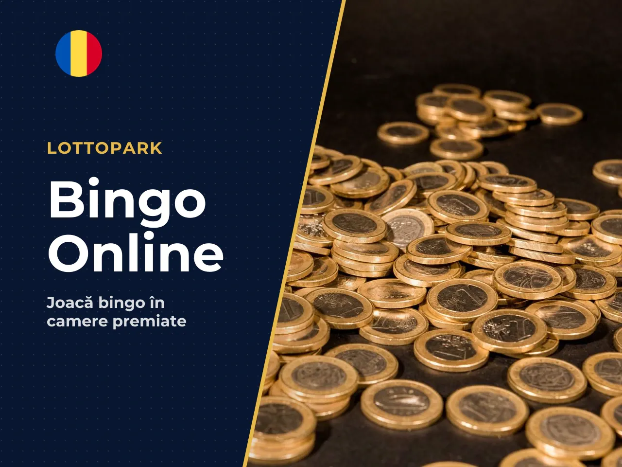 Online Bingo și camerele de bingo